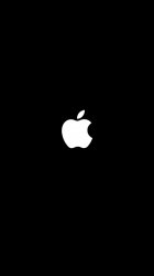 Apple plus 03.jpg