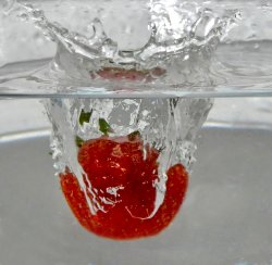 Fruit Drop.jpg