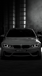 BMW 01.png