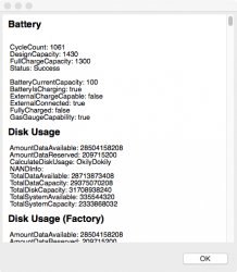 iPhone 5 Battery CycleCount.jpg