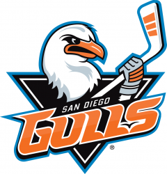 6629_san_diego_gulls-primary-2016.png