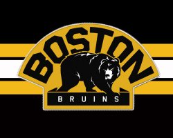 Bruins_Shoulder_Patch_by_Bruins4Life.jpg