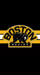 Boston Bruins.png