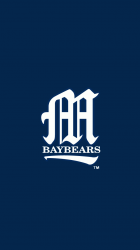 BayBears 01.png