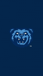 BayBears 02.png