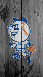 Mr Met 640.png