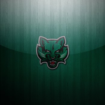 Binghamton Bearcats 03.jpg