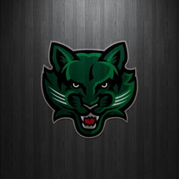 Binghamton Bearcats 06.jpg