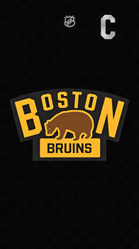 Boston Bruins Winter Classic 2016 750.png