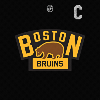 Boston Bruins Winter Classic 2016.png