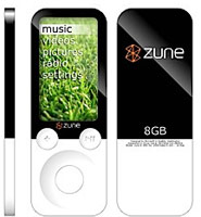 zune-flash.jpg