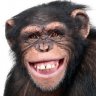 Monque Avatar