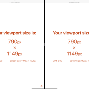 Viewport Pro 12.9 More Space.png