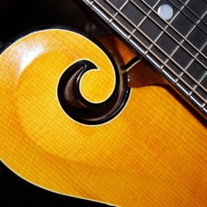 mandolin.JPG