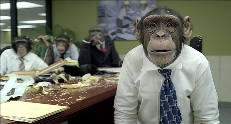 careerbuildercomchimpanze.jpg