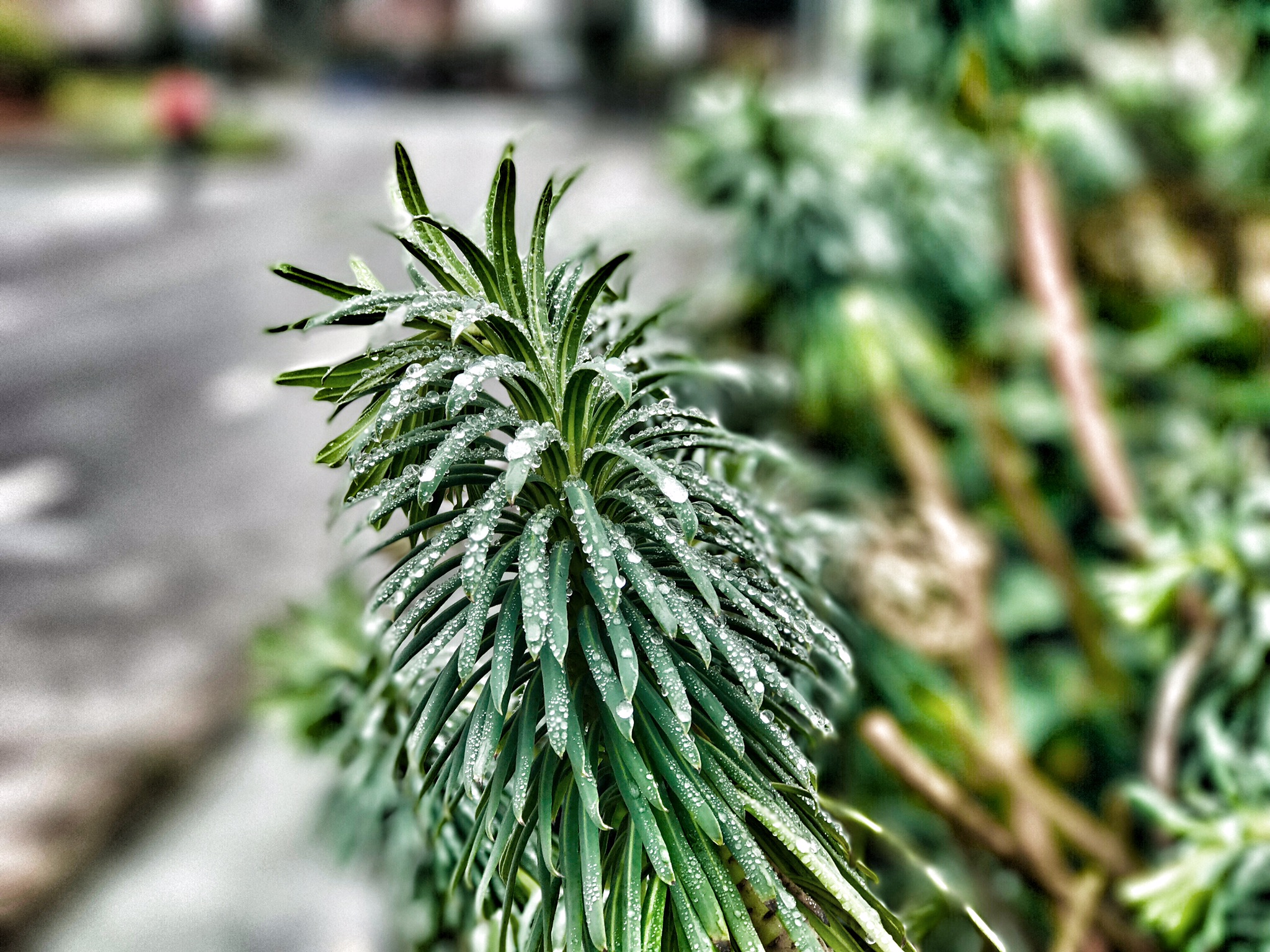 00EE2864-CF3F-492B-A0A7-295D1DBFFAA7.jpeg