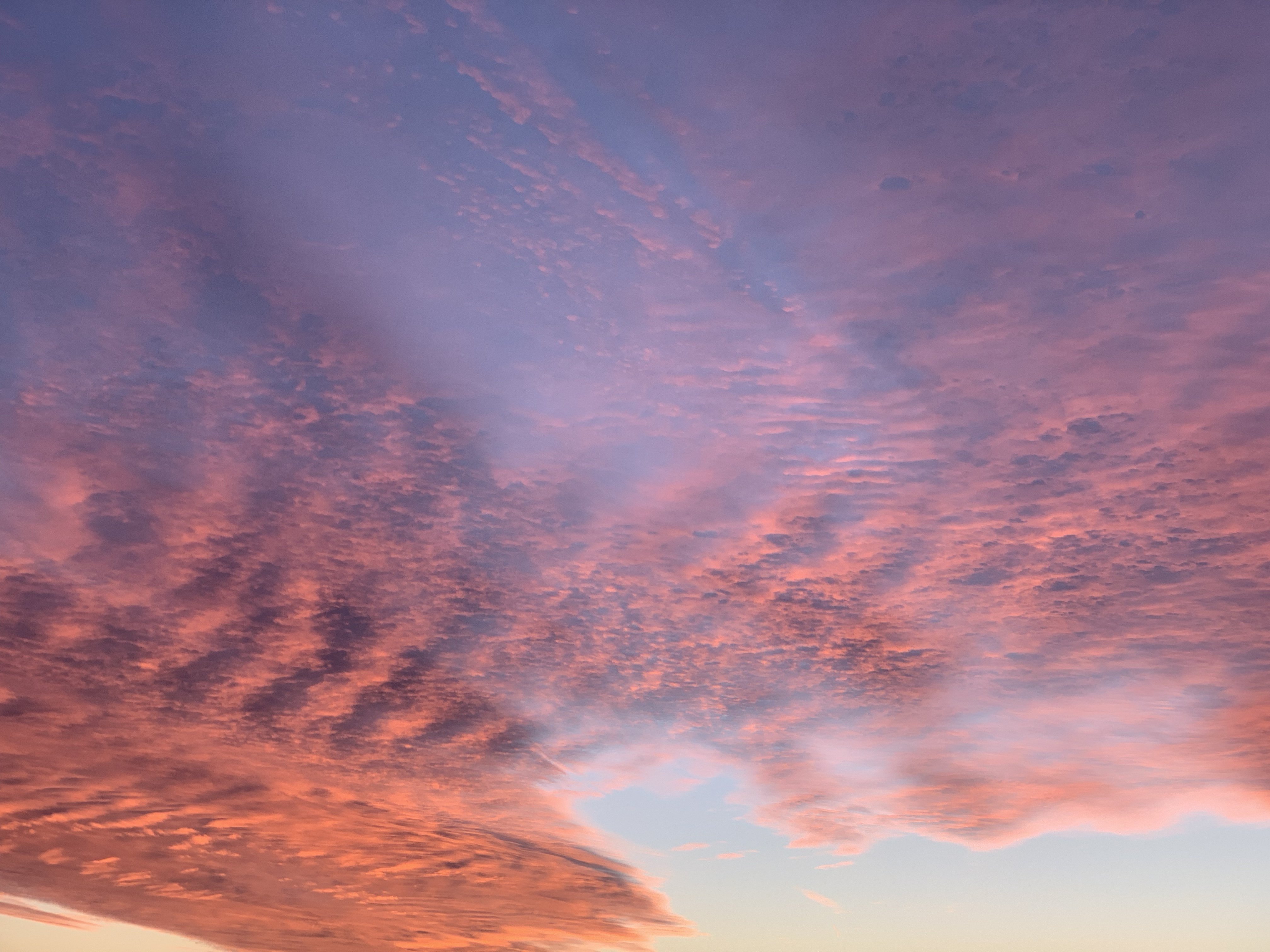 01C0876B-6855-448F-8F5E-AC55A3F0E490.jpeg