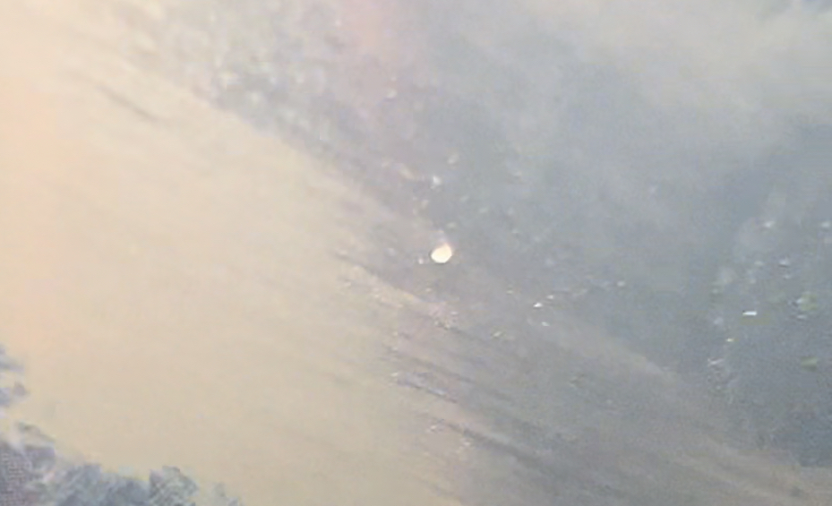 0317AC6F-D7AE-47C5-ABE9-D2356B8673D2.jpeg