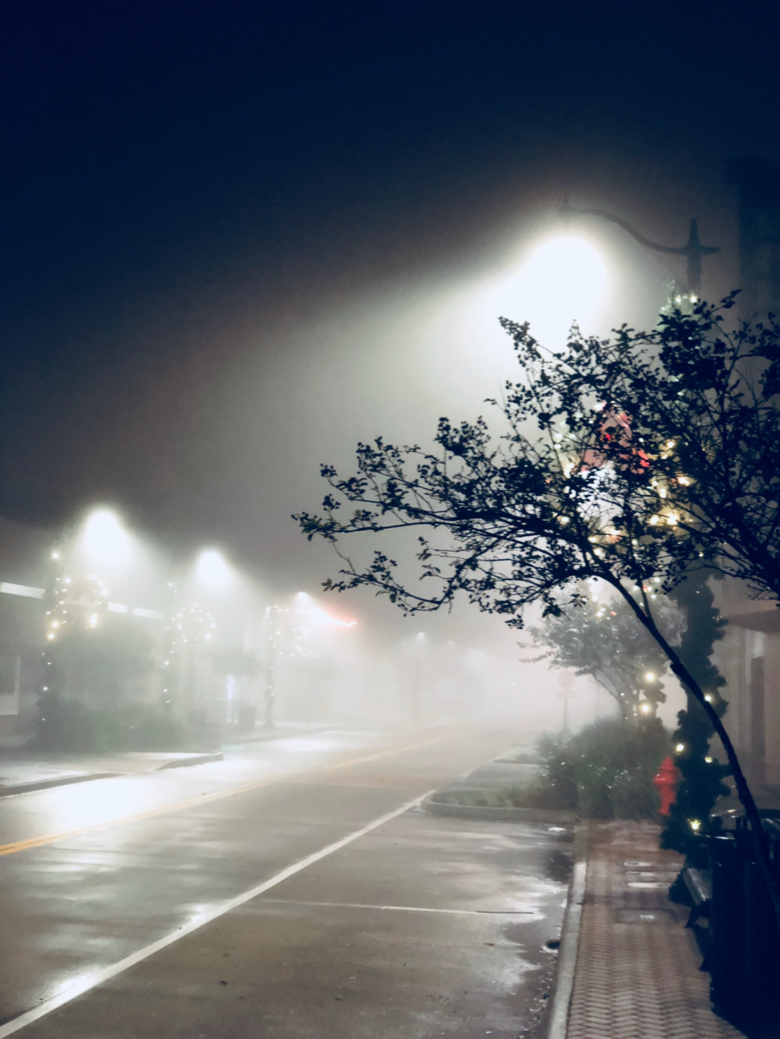 0343F7FE-28C0-4B81-84F7-BA6F3062CDB6.jpeg