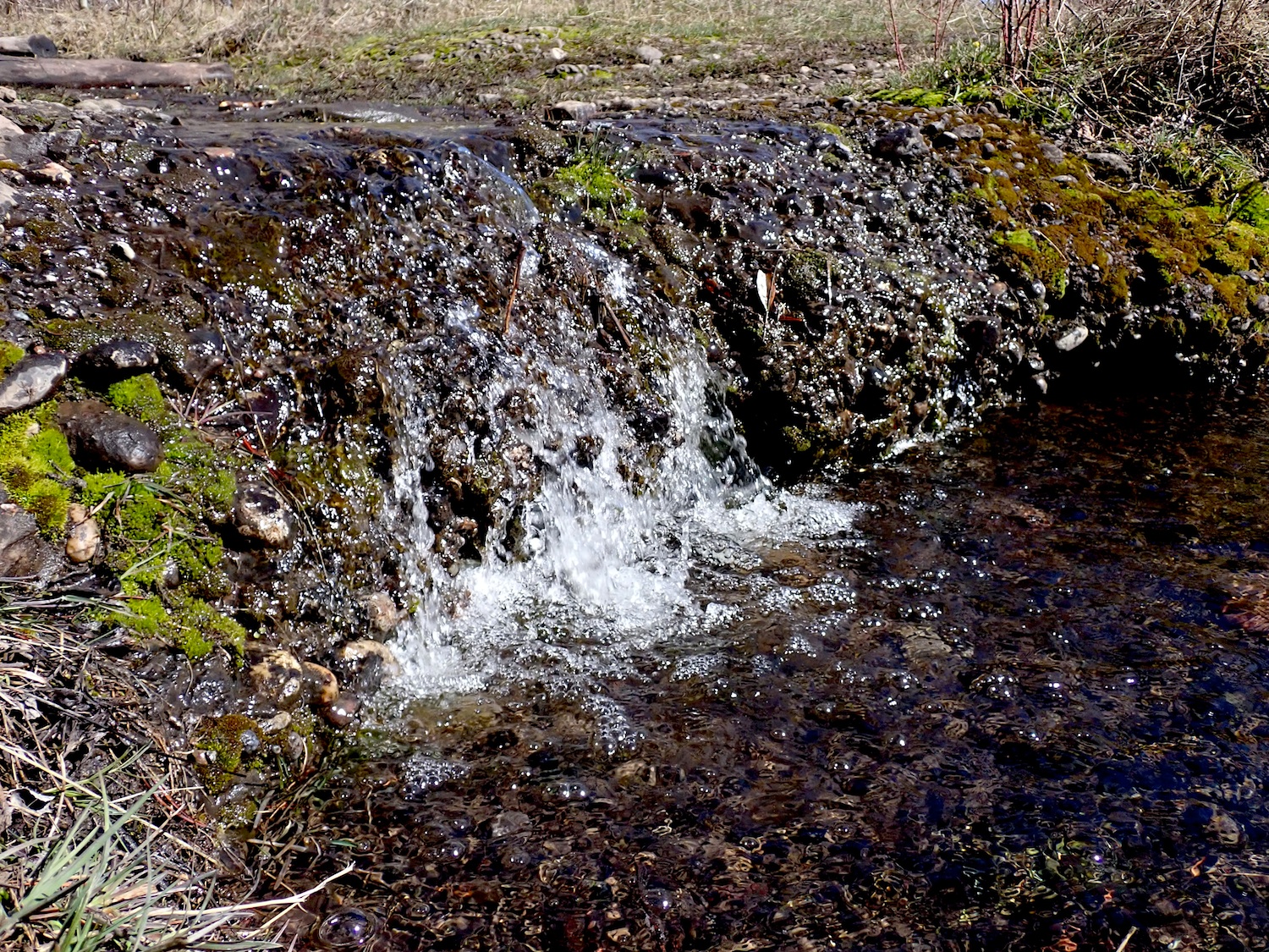 042024o_057Ar.jpg