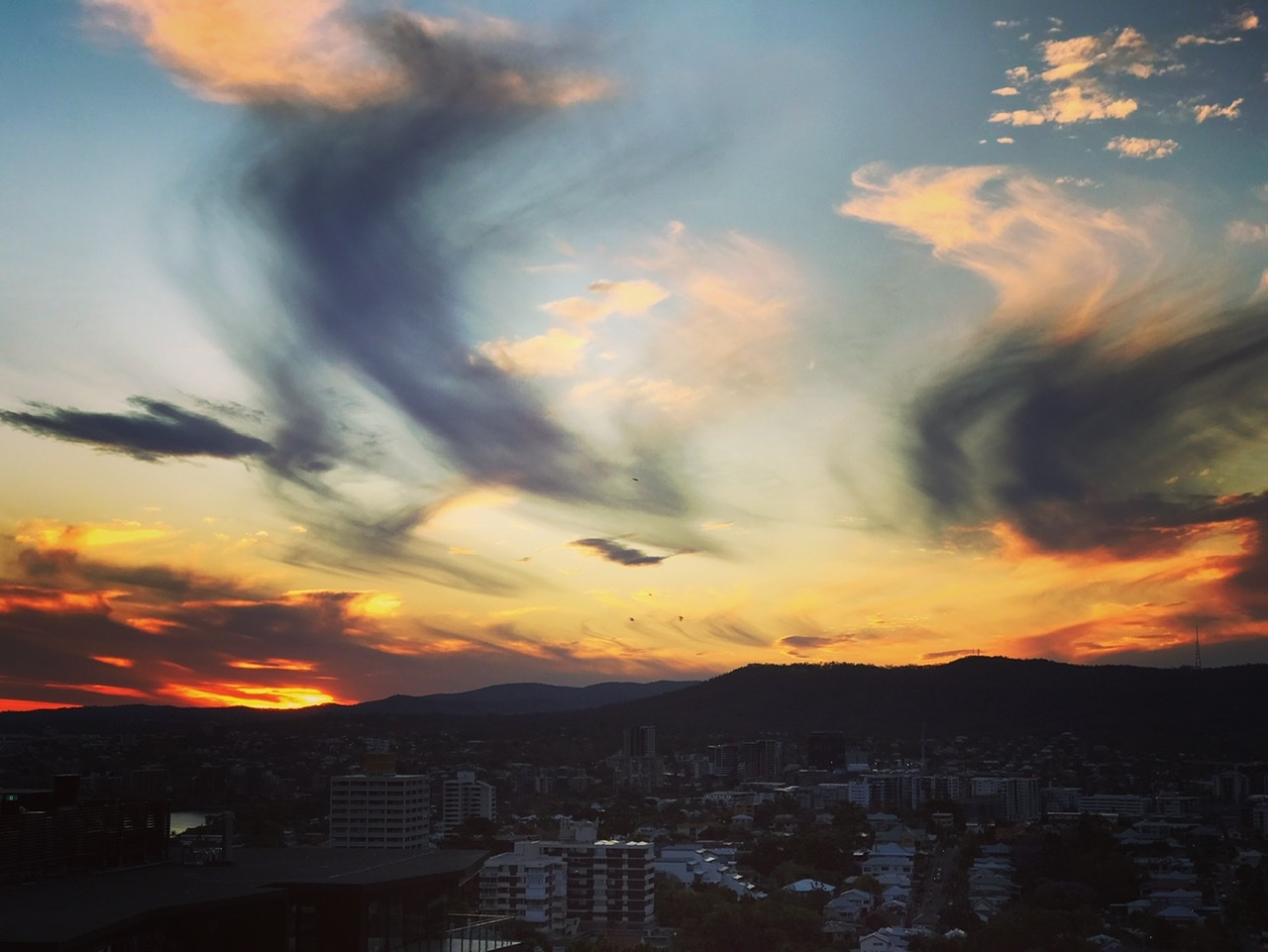 045D87D3-6A0B-4FFE-BB91-85F9C0AEB007.jpeg