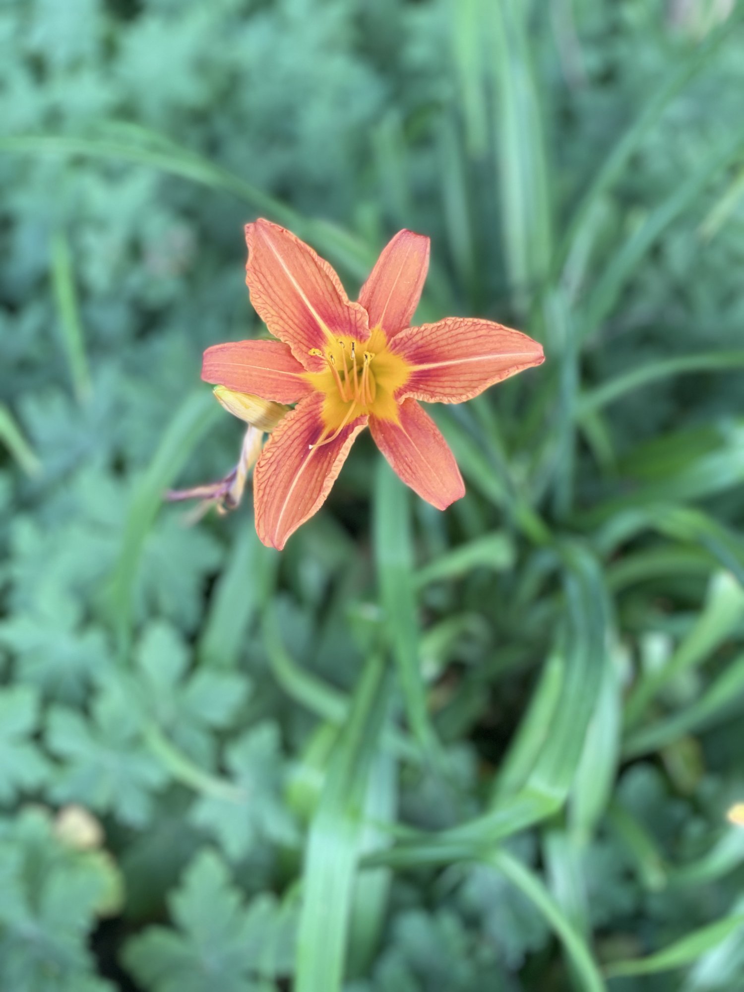 05BA3E42-C0E5-420C-8394-CA86116A6758.jpeg