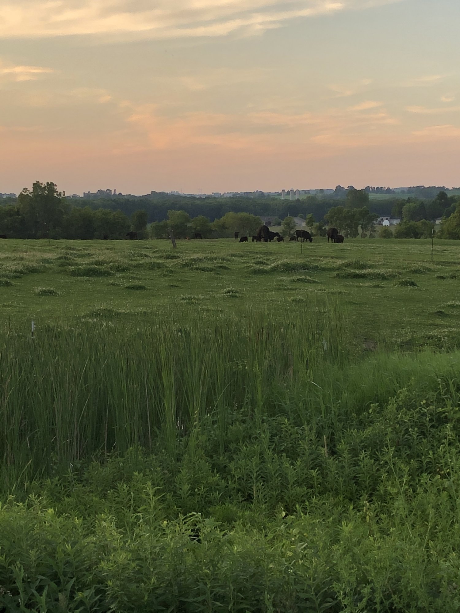 06113E3D-2C5B-4493-98FF-301F437BC91C.jpeg