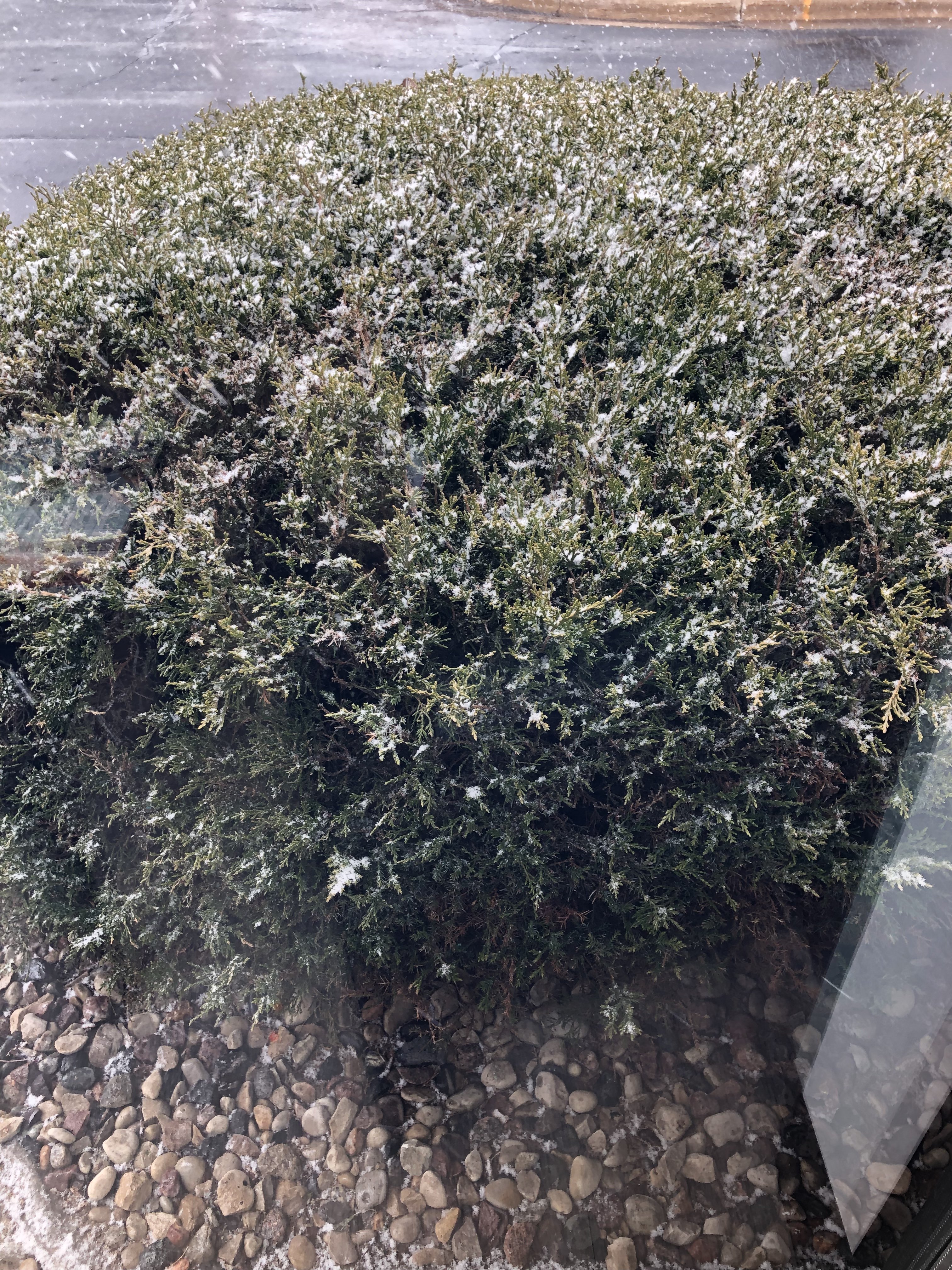 0795A36B-6AF1-446D-BD41-DEC0655CE640.jpeg