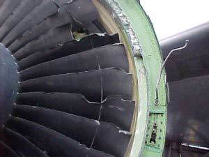 090115-bird-strike-02.social_share_1024x768_scale.jpg