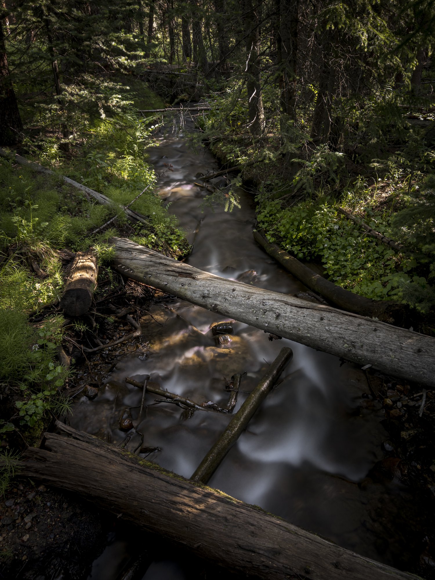 0A8FC9D6-D02D-4252-AAA1-F8ED837C1A13.jpeg