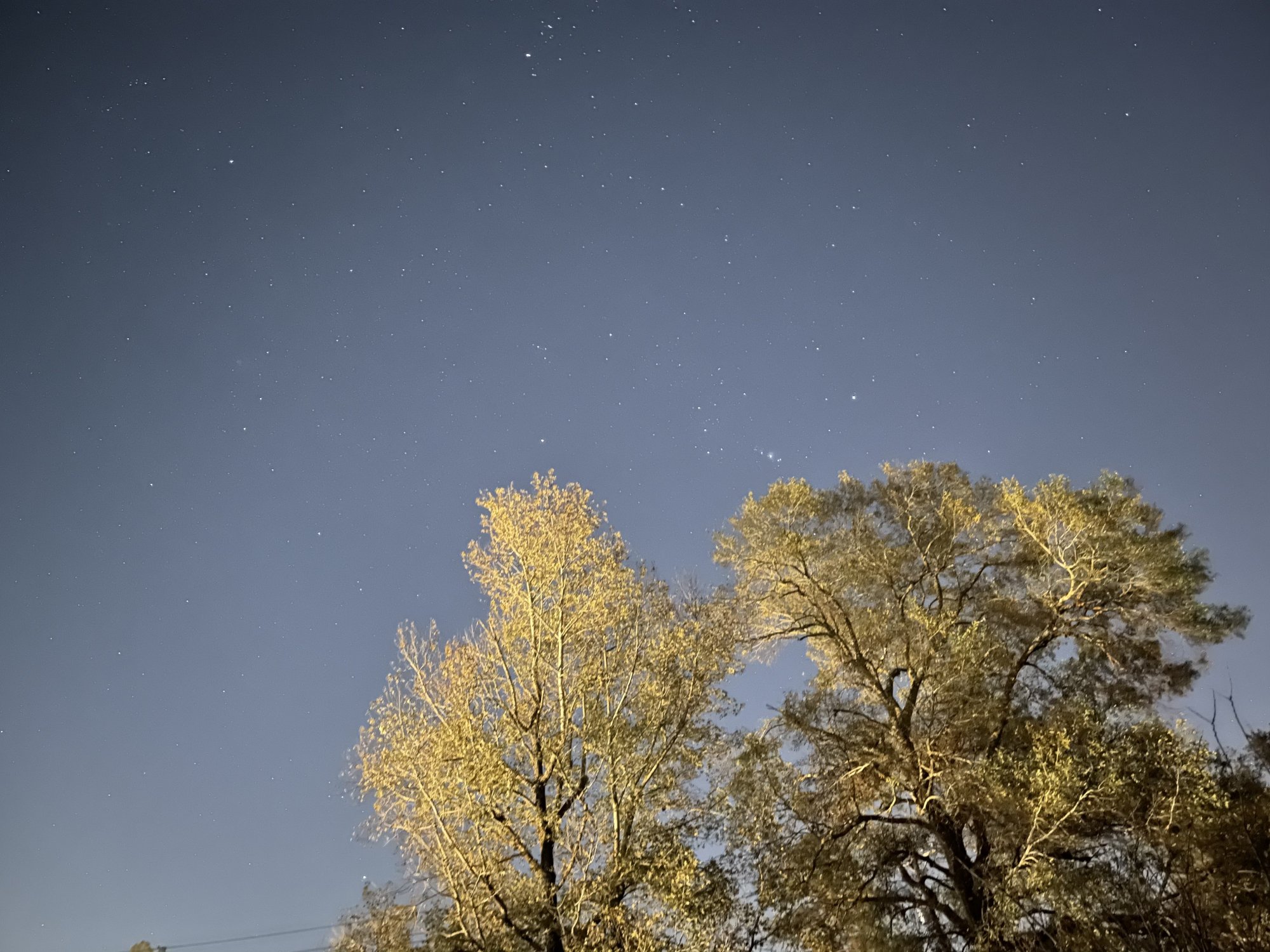 0B0FE08E-575D-4F1A-B62E-518FBB128E84.jpeg