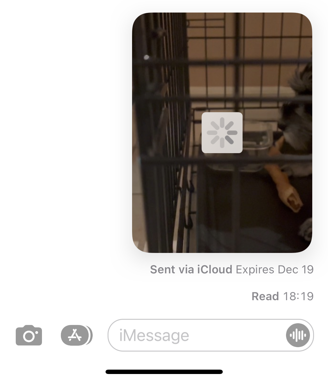 0E8EC3FD-0C5E-4CAA-9DE6-8E5E3BFB7D89.jpeg
