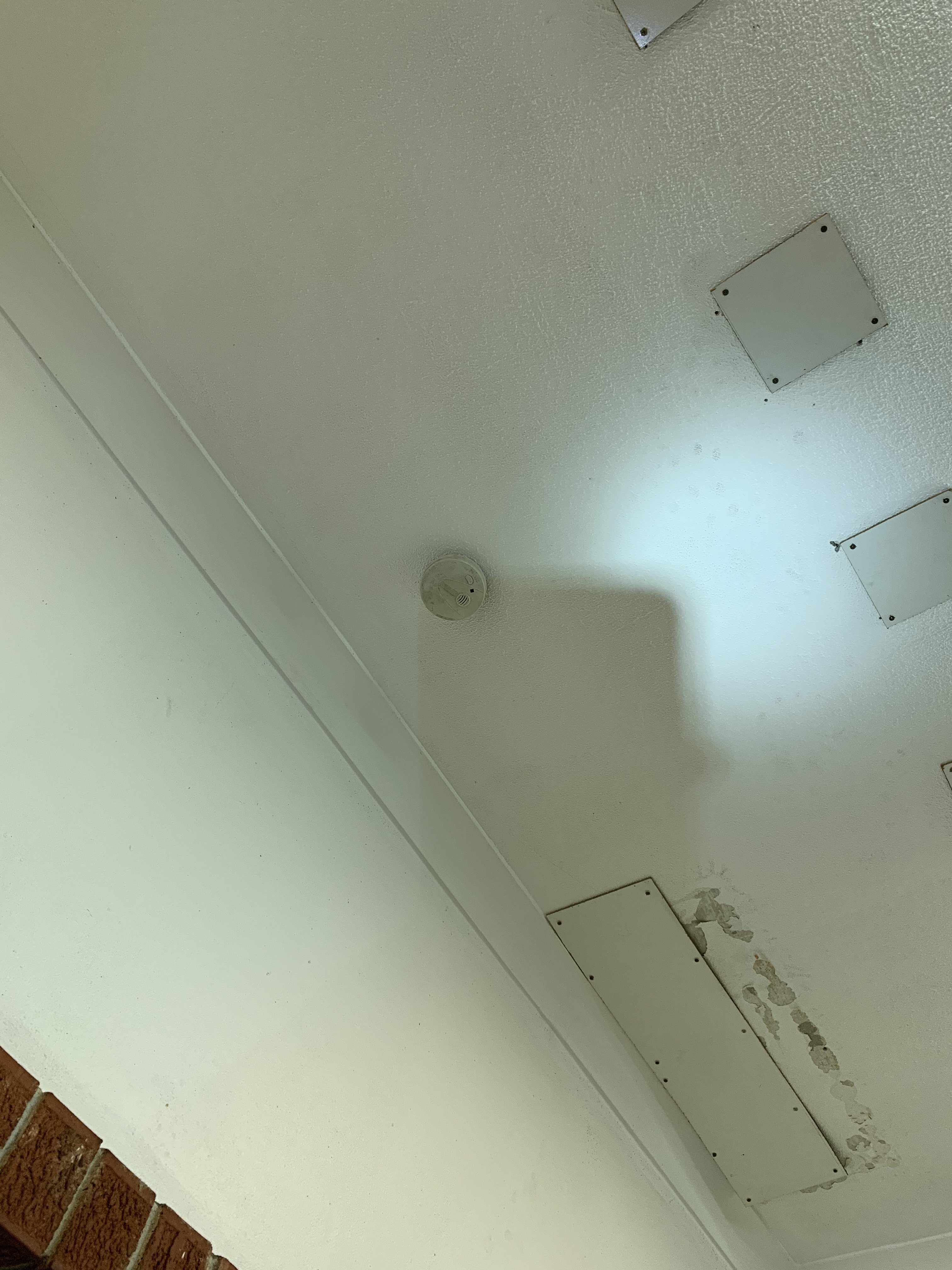 0ED24689-1161-4426-B536-3EFFB53F9D71.jpeg
