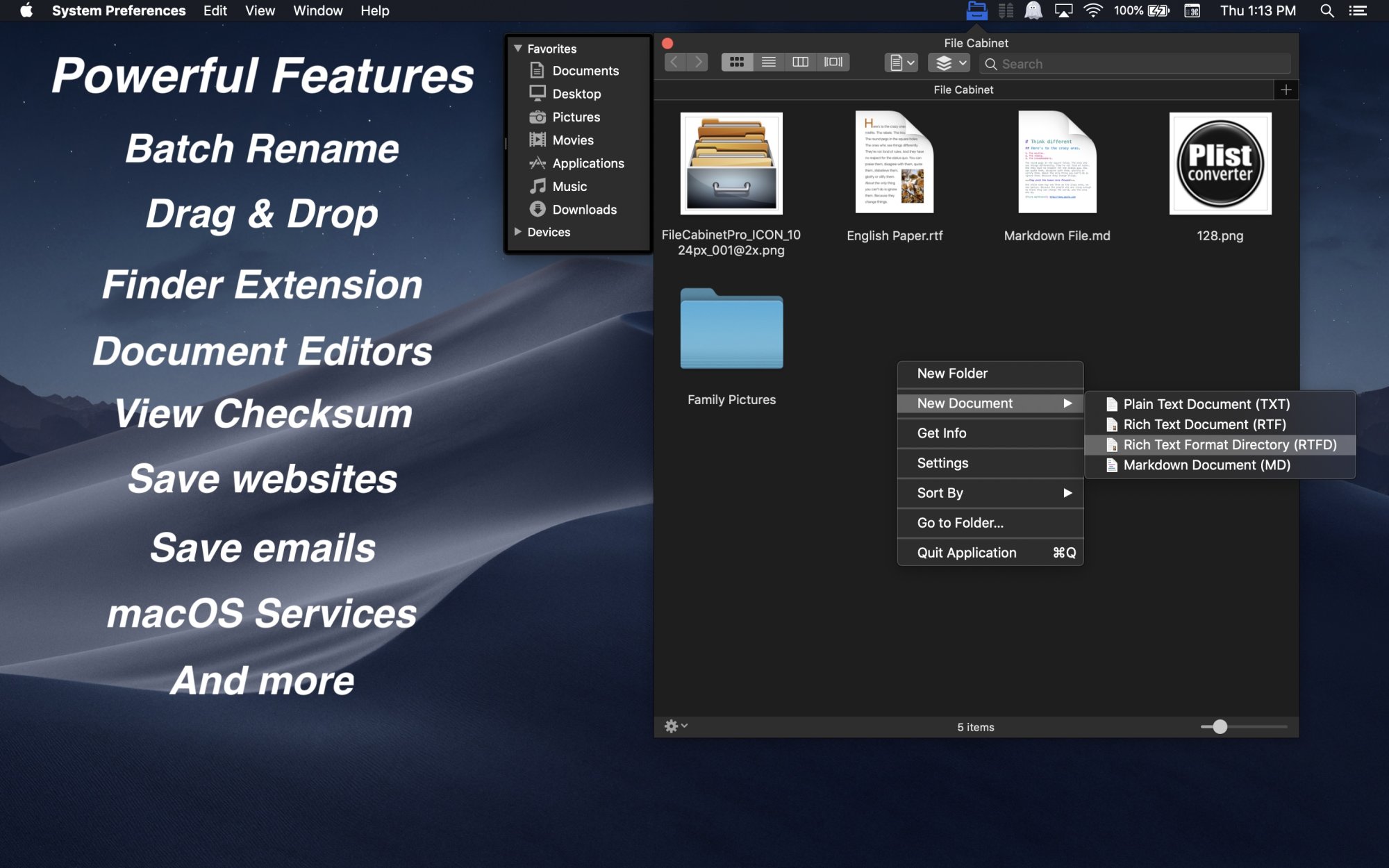 File Cabinet Pro screenshot annotated with partial features list.