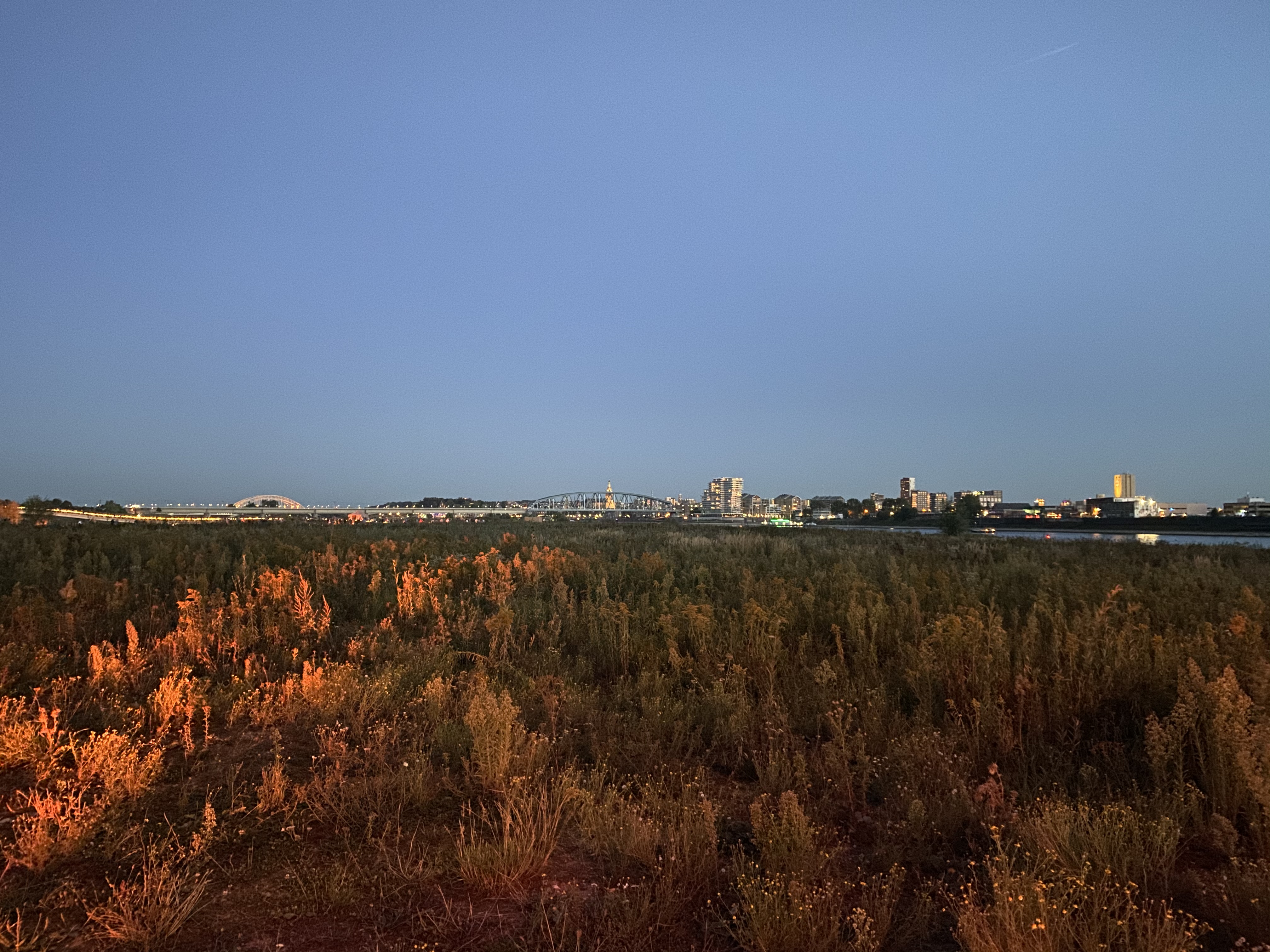12DC3162-502A-4B7C-A9C4-91A704A5ADF4.jpeg
