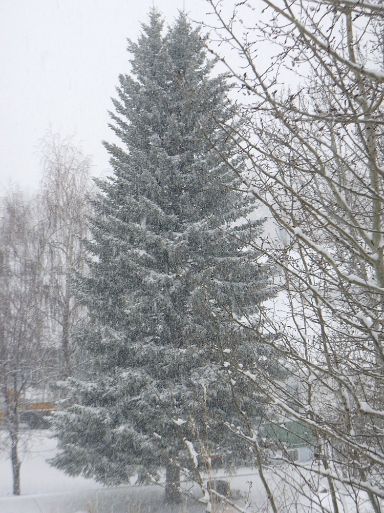 130217_o1.jpg