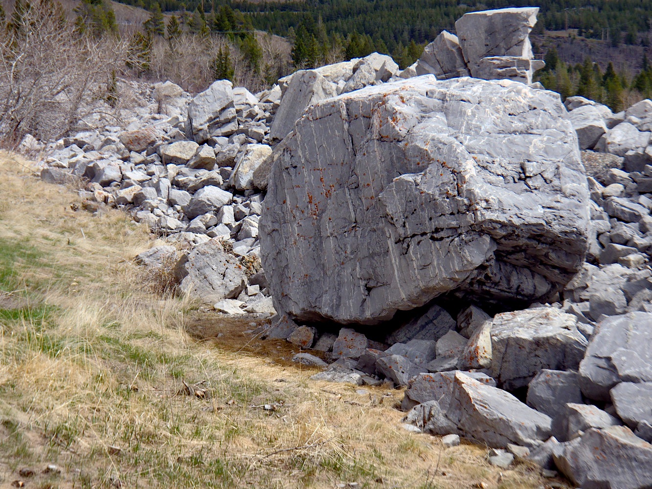 130429_o58.jpg