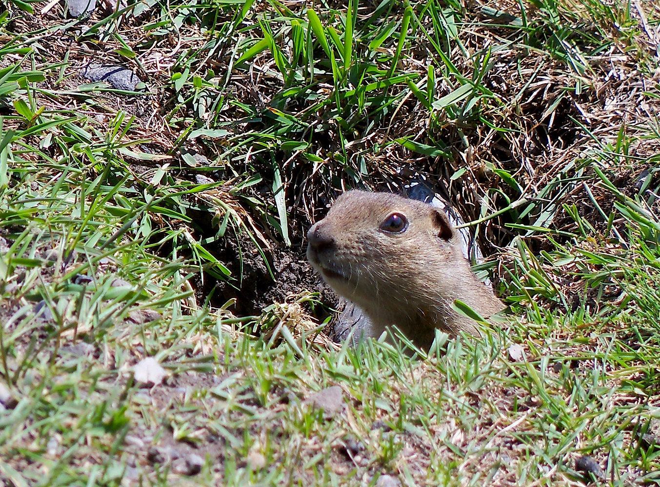 130528_K30.jpg