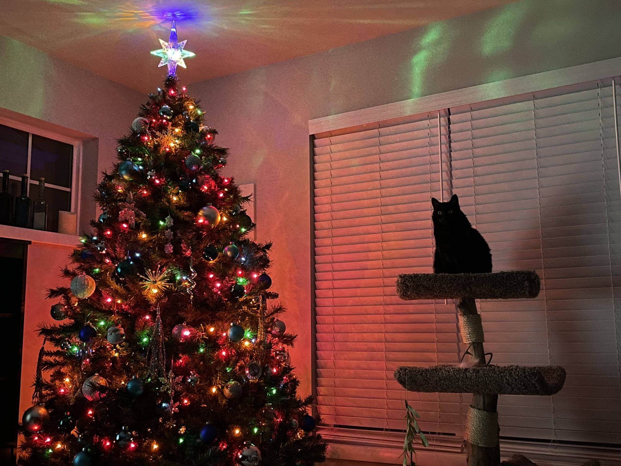 14F72BB8-1921-4076-872E-58EC60575A93.jpeg