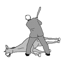 1568984017557.png