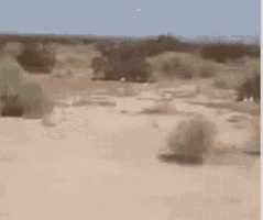 1569075100198.gif