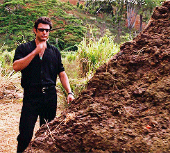1572990444868.gif