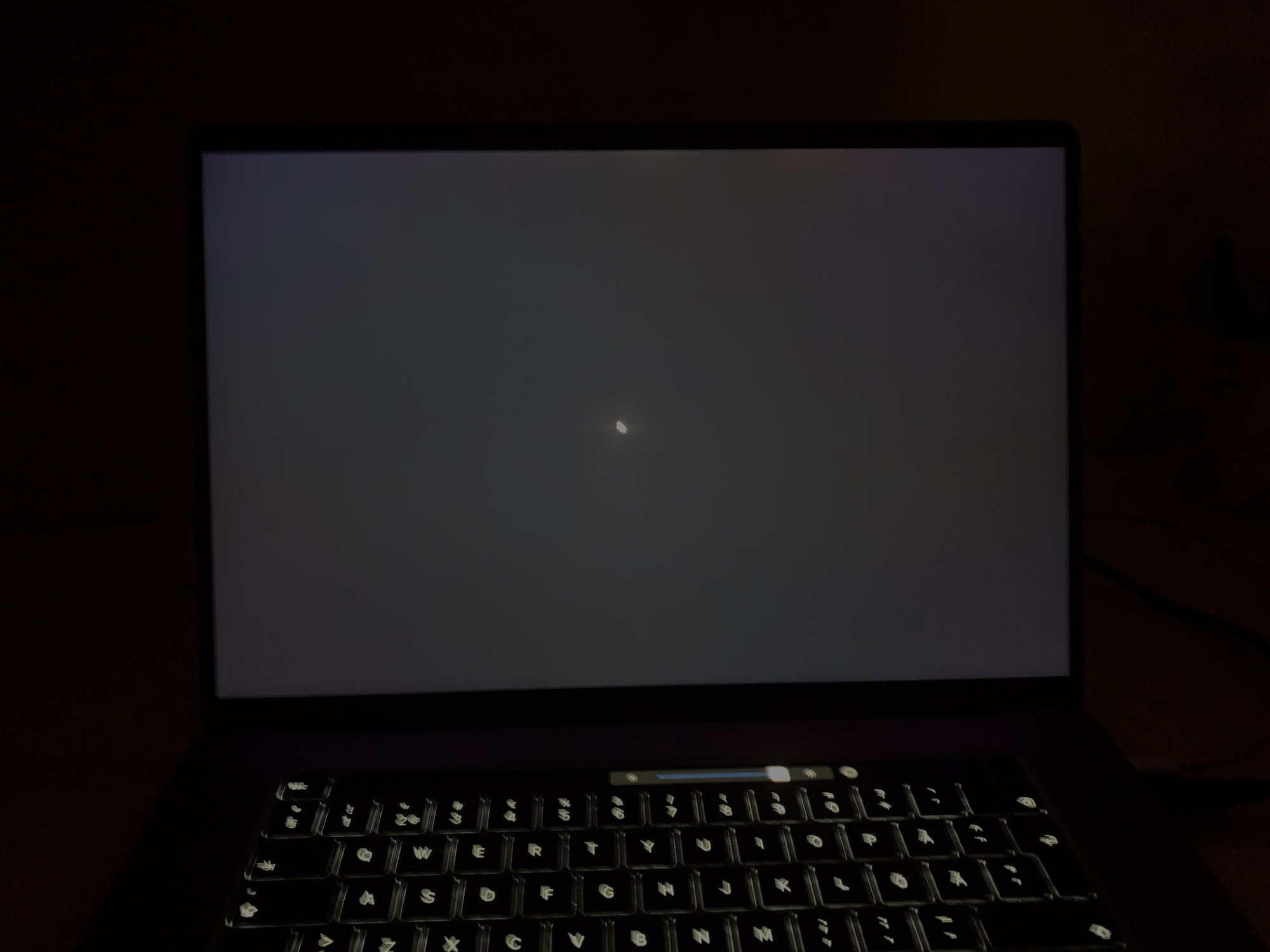 1574617695011.jpeg