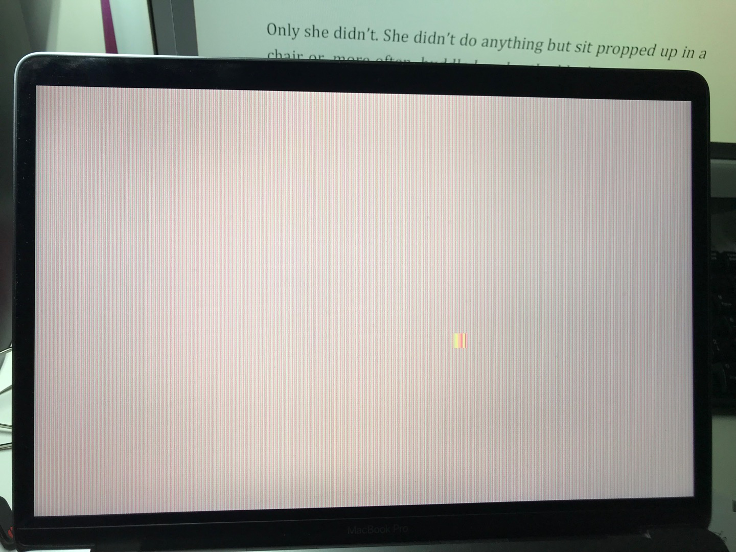 1575437449617.png