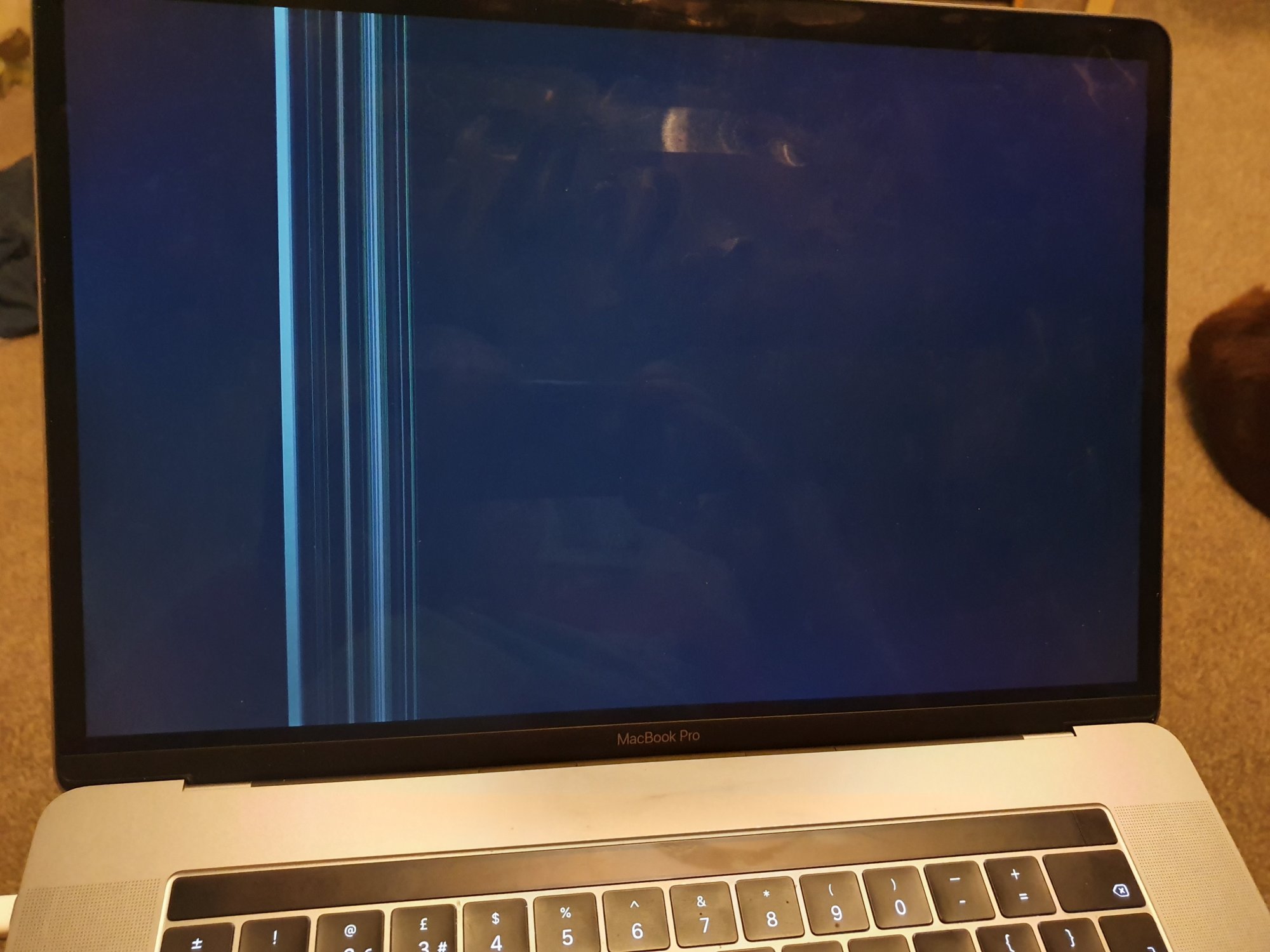 15757459298331873687435285359848.jpg