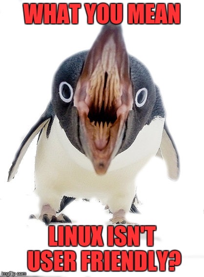 1578858726842.jpeg