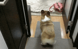1584961113824.gif