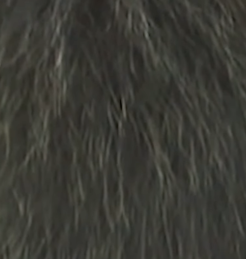 1599701543447.png