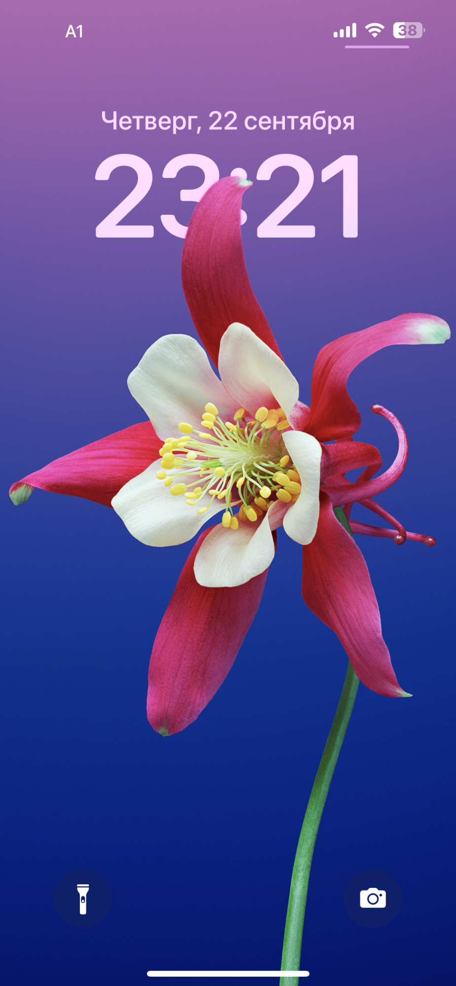 15BBD14C-BAFE-4D93-A908-5251401449F4.png