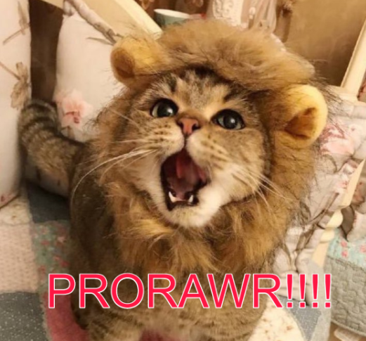 1602611747184.png